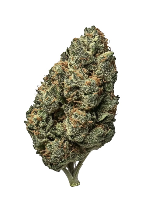 Sour Tangie