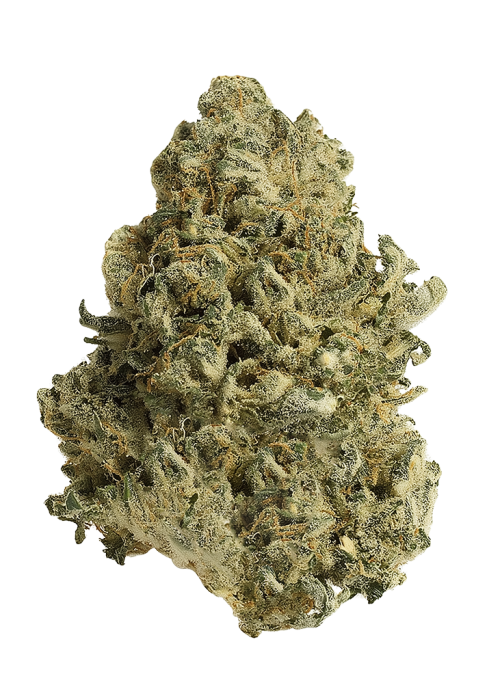 West Coast Diesel