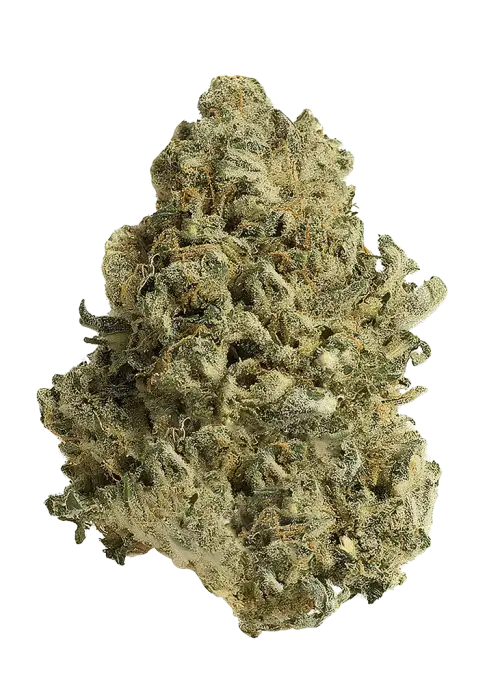 West Coast Diesel