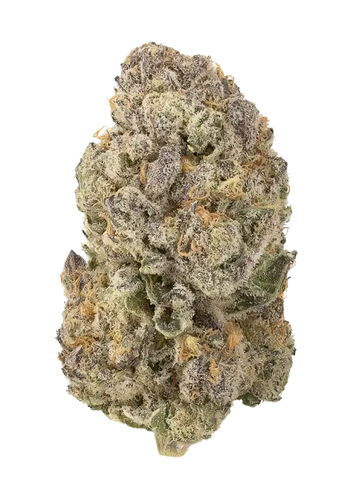 Melon Gum