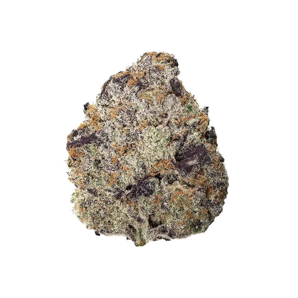 Lady Zaza Cannabis Strain Information - GrowDiaries