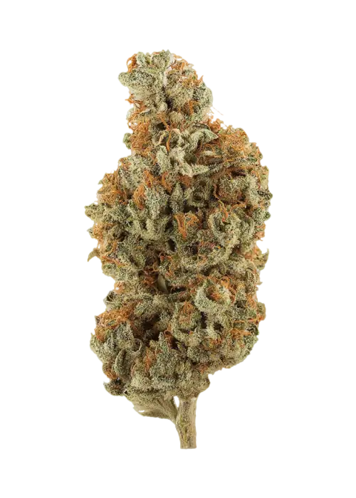White Lightning
