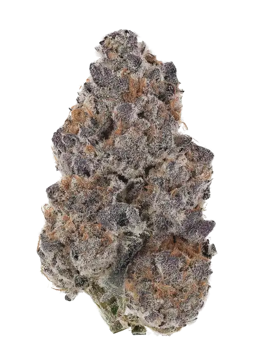 Grandmommy Purple