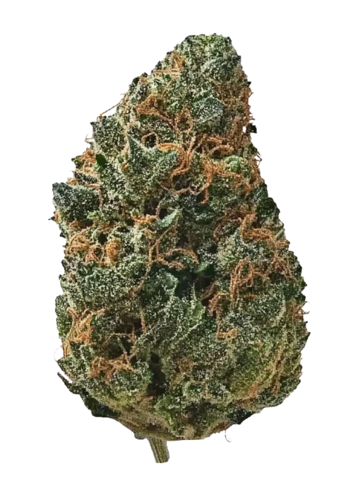 Bubblegum Gelato