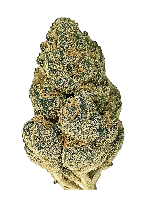 AK-48