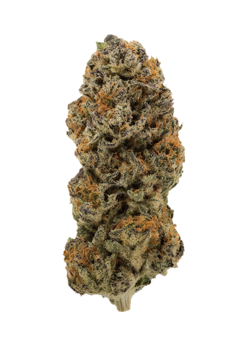 Brain Candy