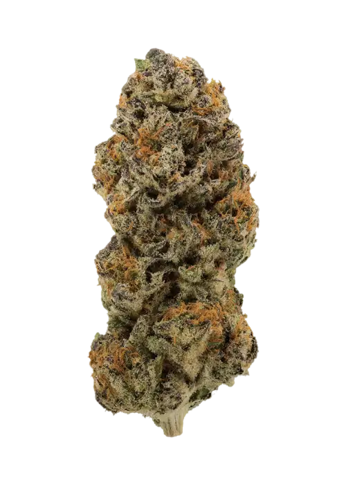 Brain Candy