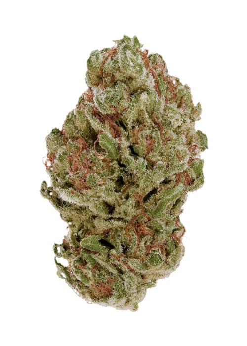 Sour Cream
