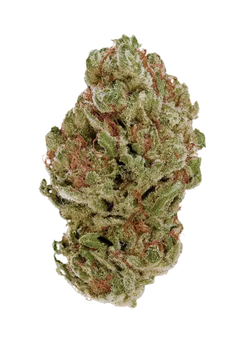 Sour Cream