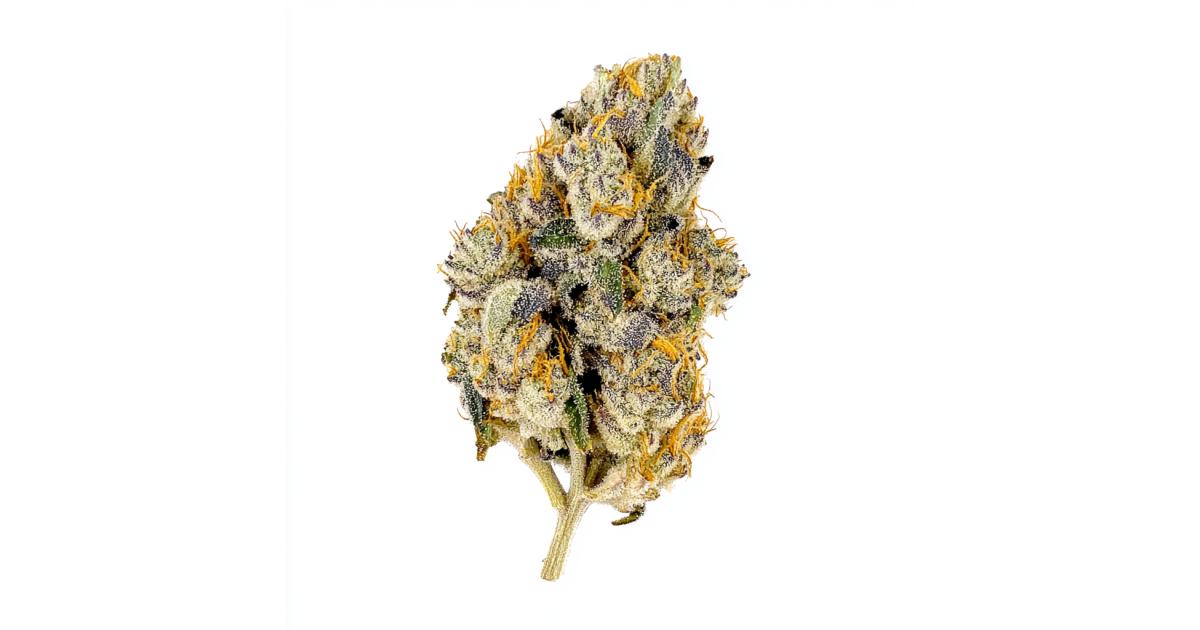 lemon cherry gelato barneys farm