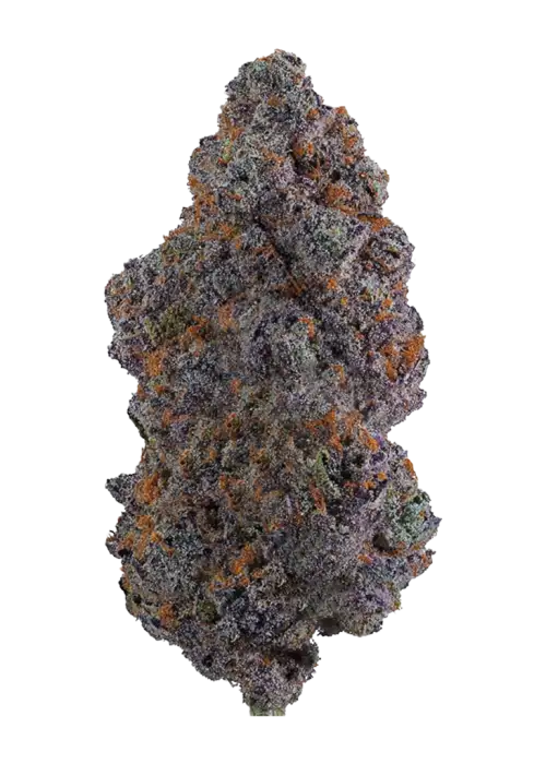Lemon Cherry Gelato