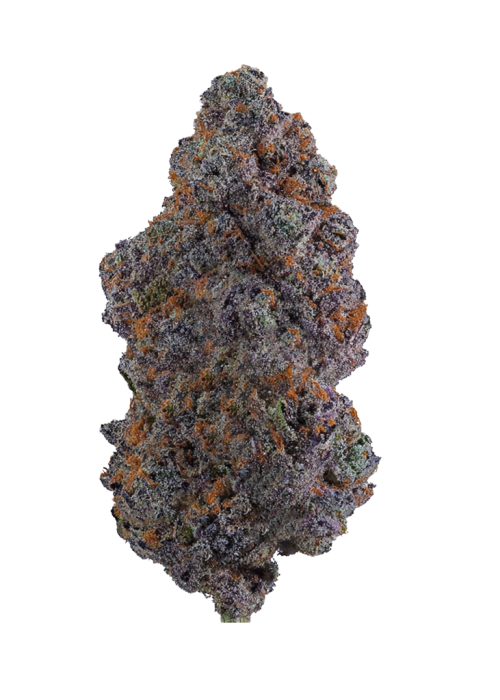 Lemon Cherry Gelato