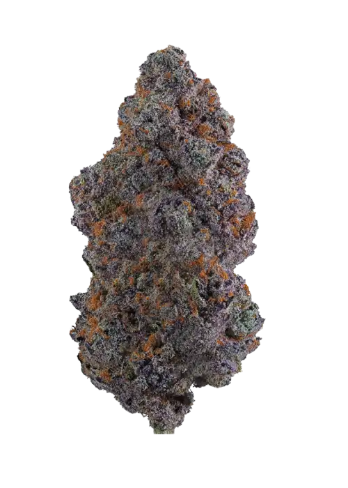 Lemon Cherry Gelato