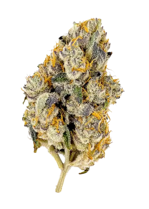 Lemon Cherry Gelato