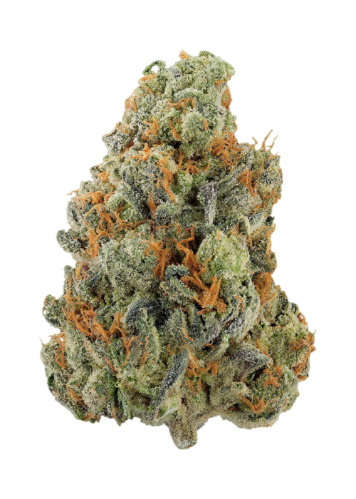 Funky Monkey