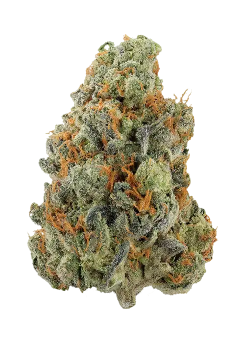 Funky Monkey