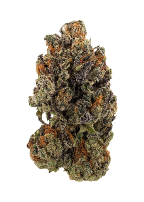 Blue Goo