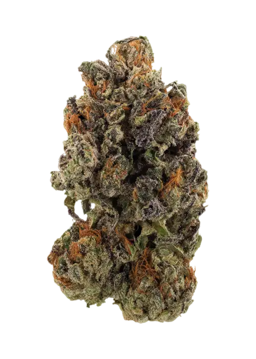 Blue Goo