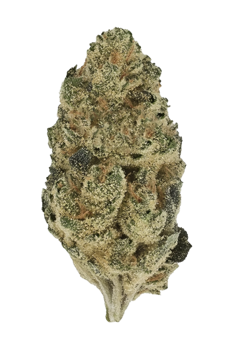 Mandarin Cookies