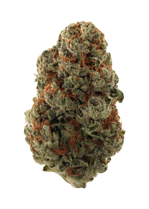 Stank Breath