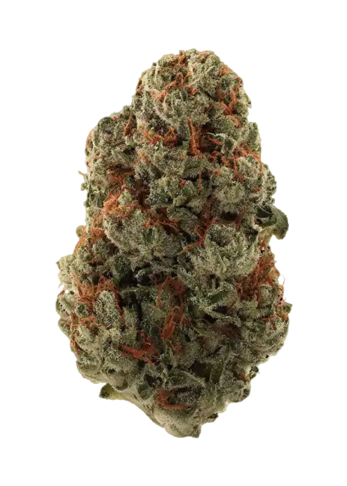 Stank Breath
