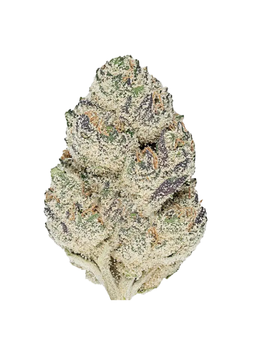 Dark Matter