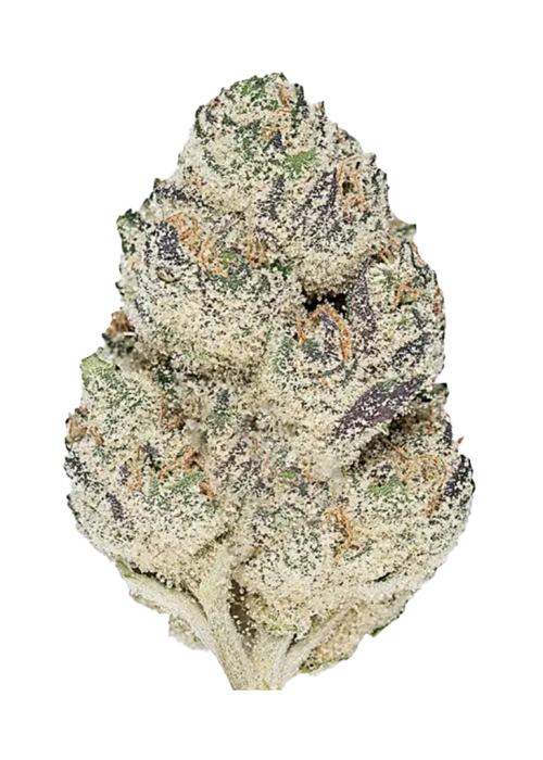 Dark Matter