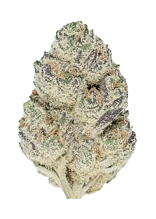 Dark Matter