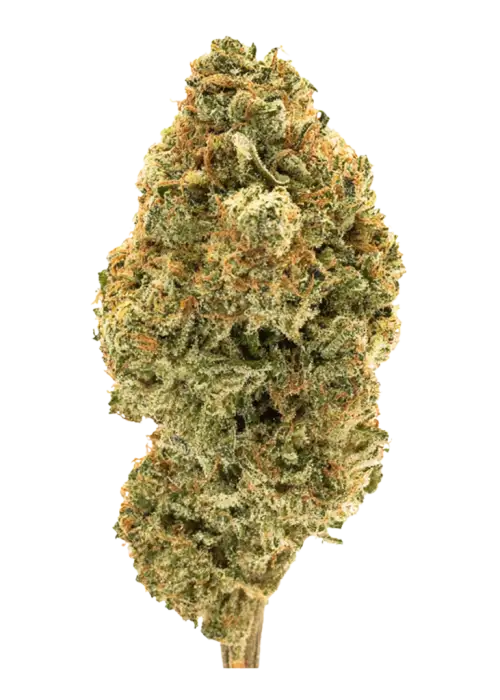 Strawberry Dream