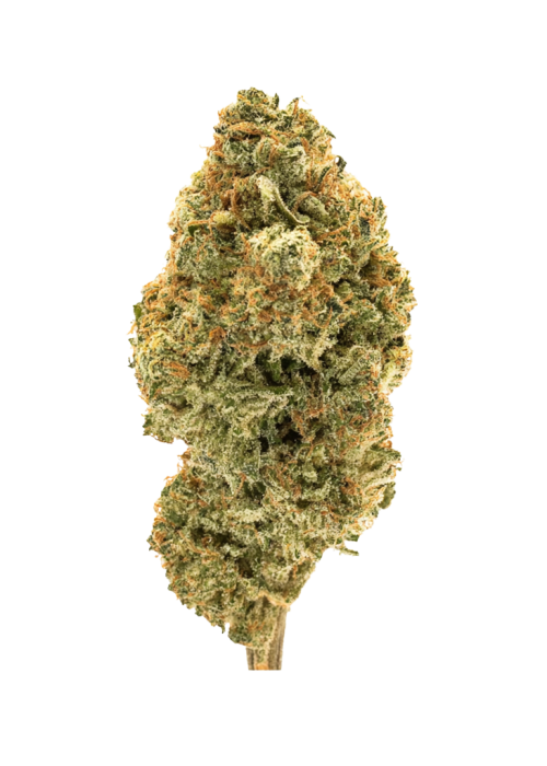 Strawberry Dream