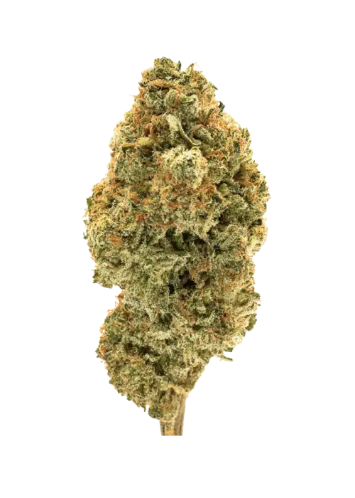 Strawberry Dream