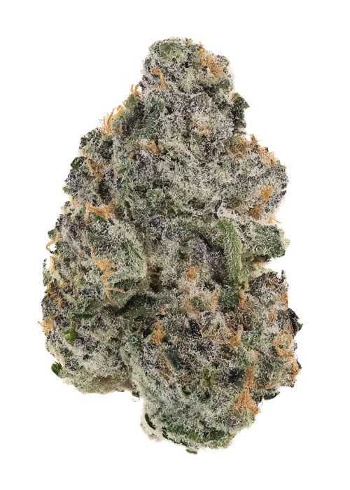 Katsu Bubba