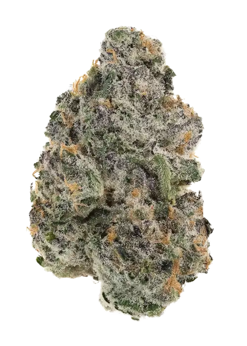 Katsu Bubba