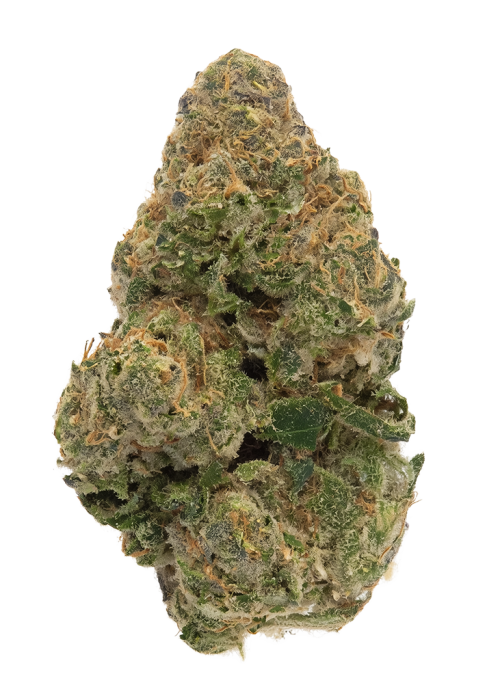 SAGE