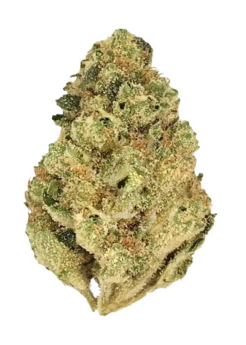 Master Kush
