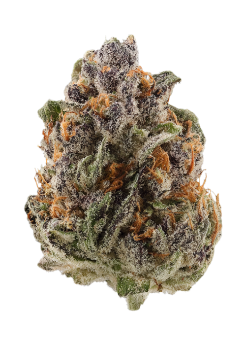 Purple Monkey Balls
