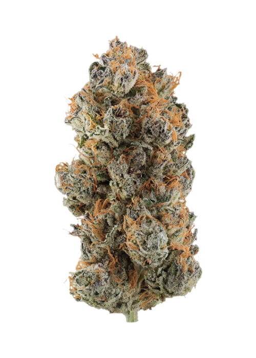 Candy Cream
