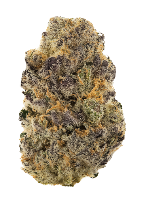 Golden Gas