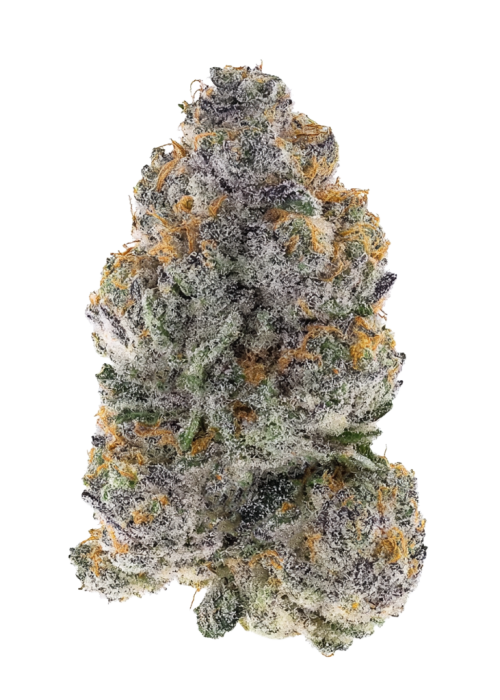 Prism