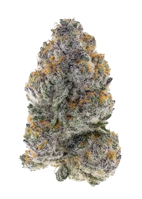 Prism