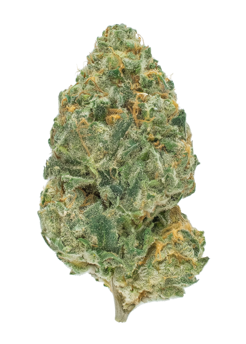 Medicine Man