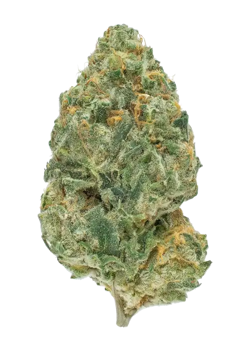 Medicine Man