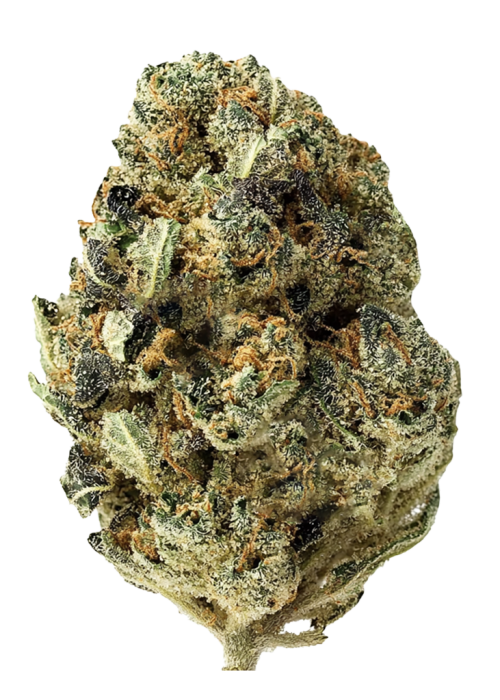 Zookies