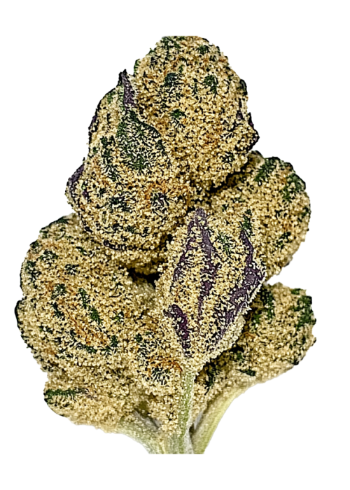 Blue Kush