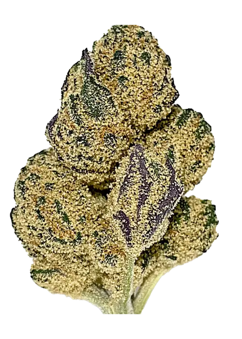 Blue Kush