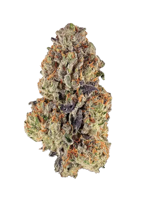 Purple Glue