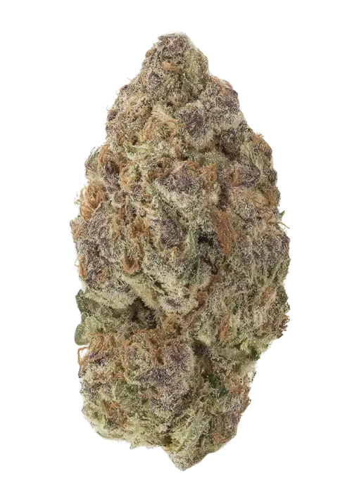 Pot of Gold