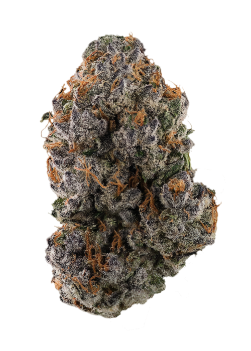 Black Kush