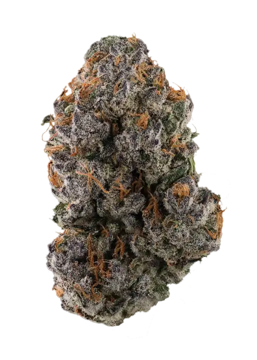Black Kush