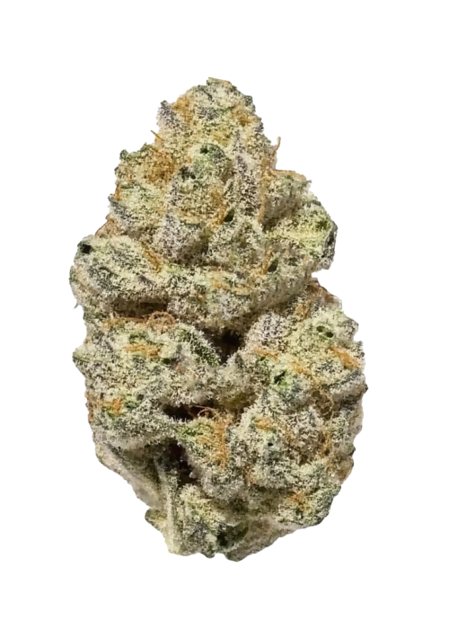 Brownie Scout